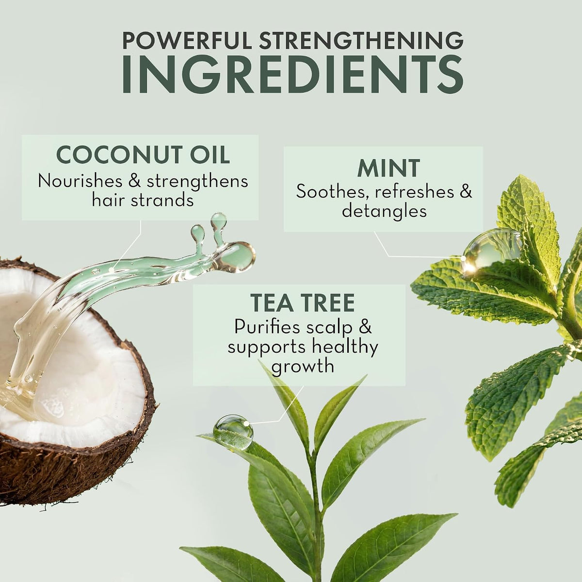 Tea Tree Oil Leave in Conditioner Spray - Dry Itchy Scalp Treatment
