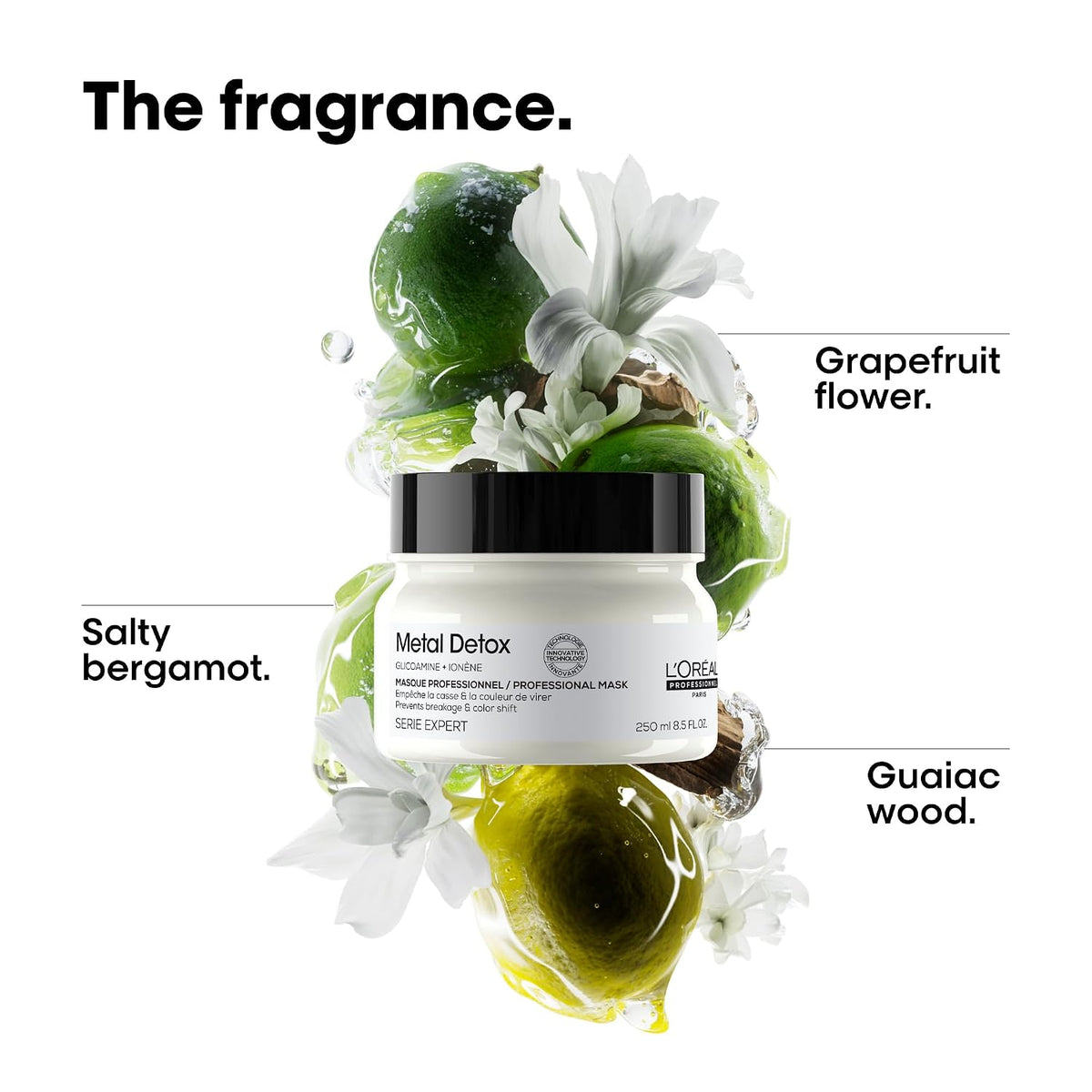 L'Oréal Professionnel Paris Metal Detox Hair Mask – For Hair Repair
