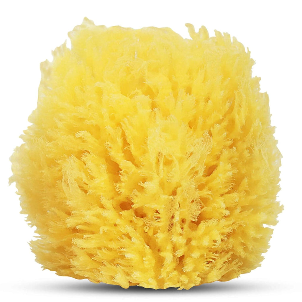 HartFelt [10 Pack] Regular Exfoliating Facial Sponge for Face - Daily Cleansing Scrubber - Buf Dirt Away with Puf Styled