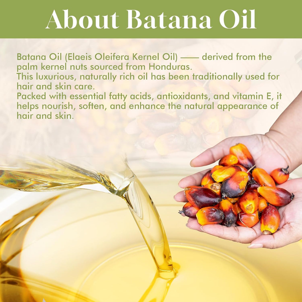 Dolahair Batana Oil for Hair, Scalp & Skin, Natural Elaeis Oleifera Kernel Oil, Moisturizing Hair Oil for Dry Hair, Ligh