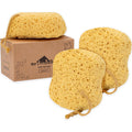 myHomeBody Bath Sponge, Foam Loofah, Shower Sponge for Body, Curvy, 3 Pack