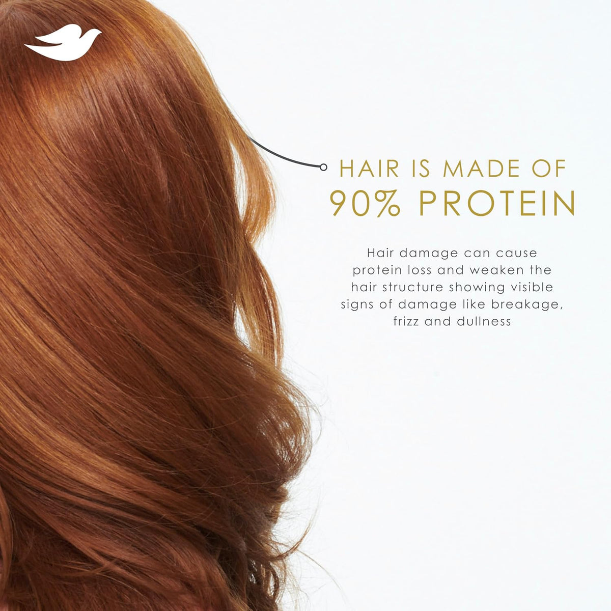 Dove Shampoo Intensive Repair for Damaged Hair with Bio-Protein, 28 Fl Oz