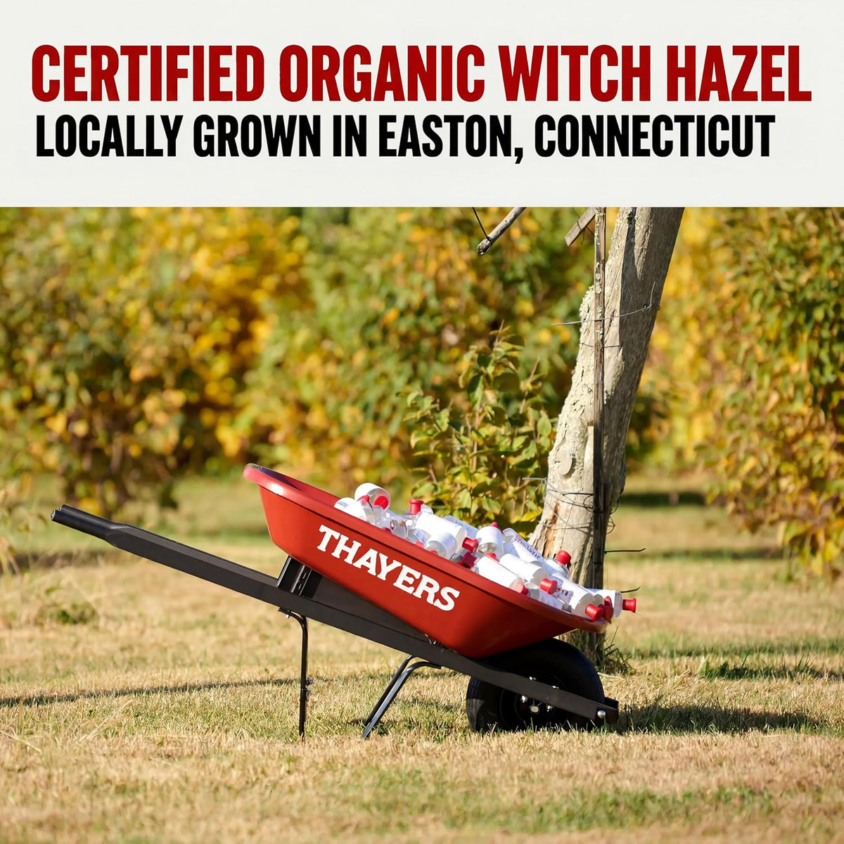 Thayers Unscented Witch Hazel Toner, with Witch Hazel and Aloe Vera, 12 oz